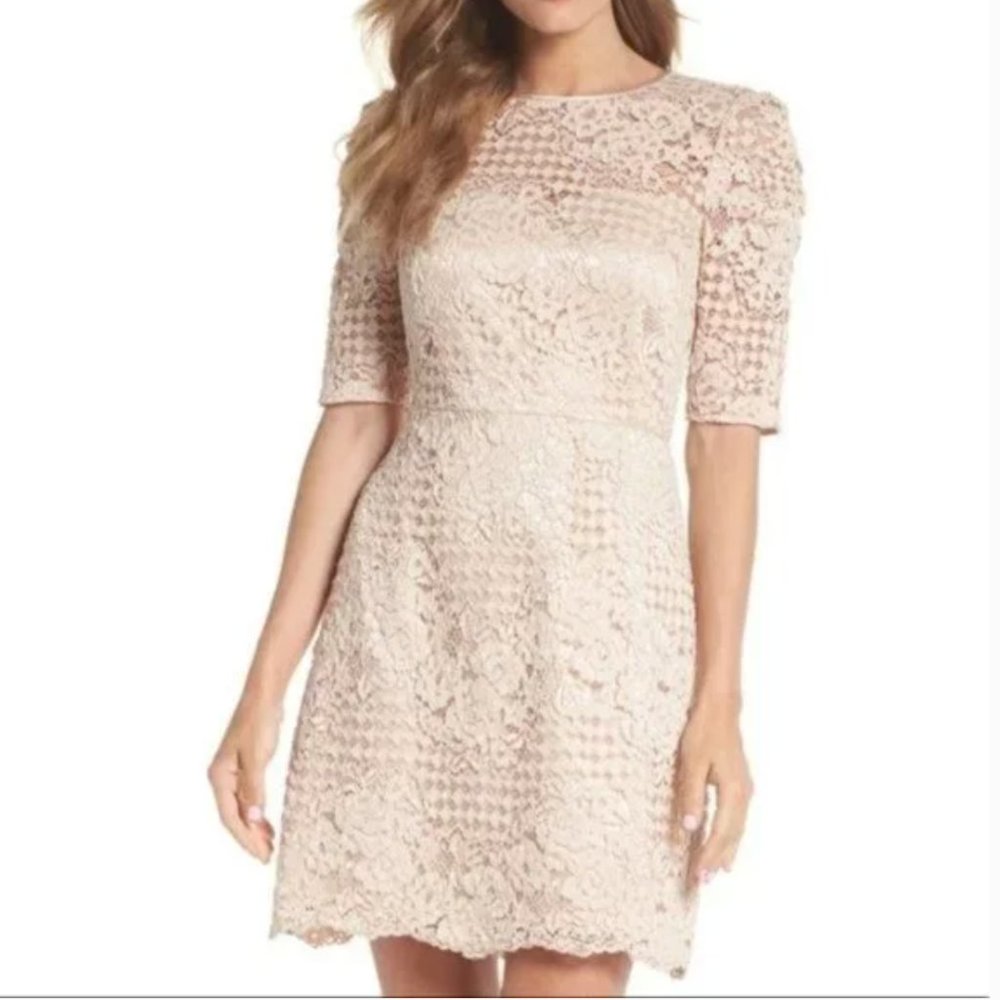 NWT Chelsea28 Ballerina Pink Lace Dress